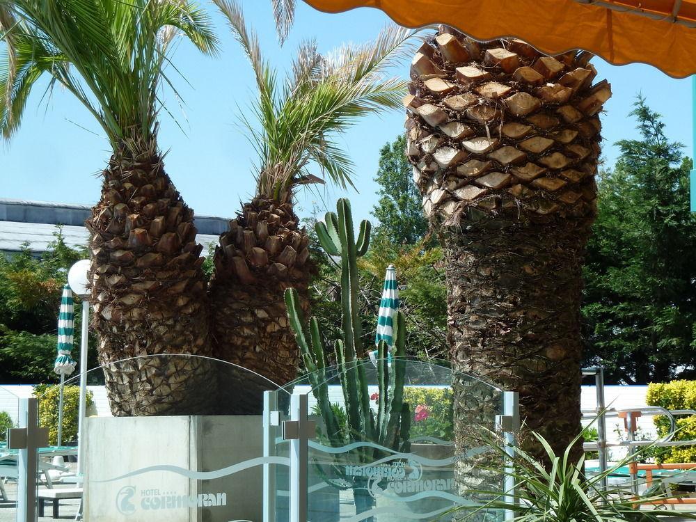 Hotel Cormoran Riccione Esterno foto